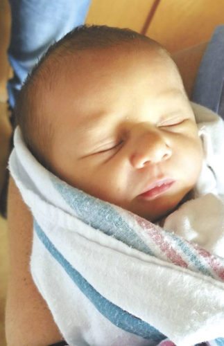 Braylen Michael Holler